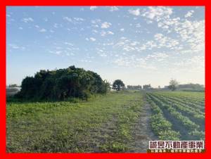 誠昱/安南安吉路都內農.