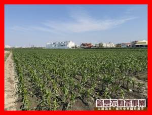 誠昱/柳營便宜農地