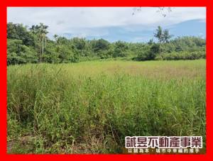 誠昱/左鎮化石館旁可農保.