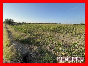 誠昱/麻豆都內3分方正美.