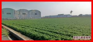 誠昱/新吉1公頃一般農.